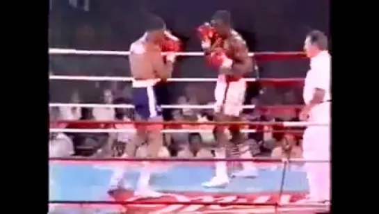 Evander Holyfield vs. Terry Mims