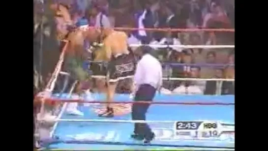 David Tua vs. Michael Moorer (17/08/2002)