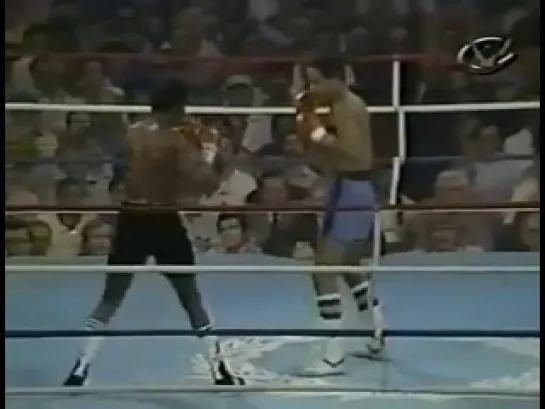 1981-05-23 Maurice Hope vs Wilfred Benitez (WBC Super Welterweight Title)