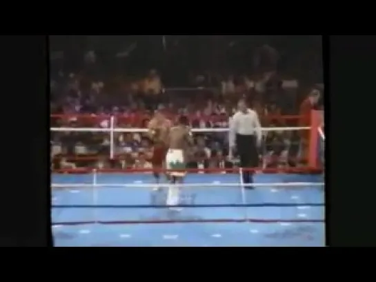 1992-08-01 Julian Jackson vs Thomas Tate (WBC Middleweight Title)