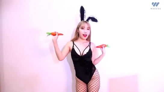 바니걸 트월킹 웨이브야 Halloween Twerk Teaser _ Desce Pro Play Waveya