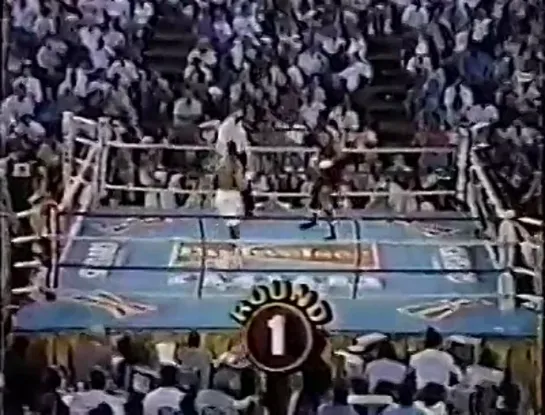 1991-07-12 Lennox Lewis vs Mike Weaver