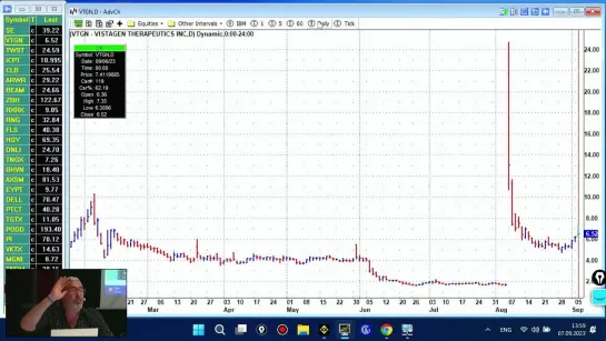 Живая трансляция Summer Trading Camp 2023_(12)