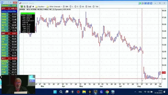 Живая трансляция Summer Trading Camp 2023_(6)