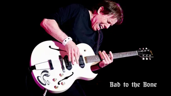 George Thorogood & The Destroyers «Bad to the Bone» (Live 2013)