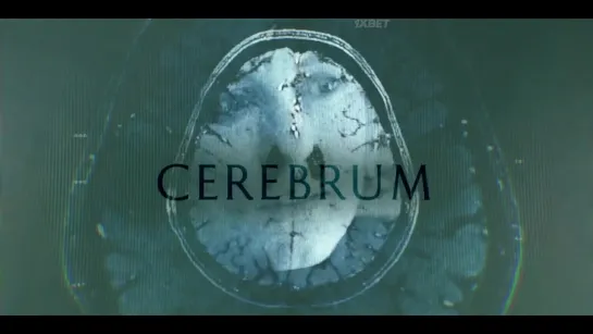 Cerebrum.s01e02