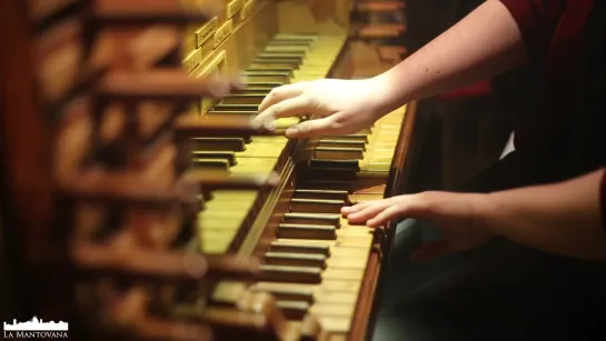 Johann Ludwig Krebs - Fantasia à gusto italiano, Krebs-WV 422 - Ilaria Centorrino, organ