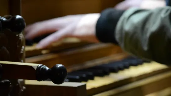 Johann Ludwig Krebs - Jesu, meine Freude - Martien de Vos, organ