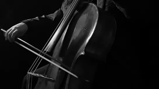 1008 J. S. Bach - Cello Suite No.2 in D minor, BWV 1008 - Nathan Whittaker, cello