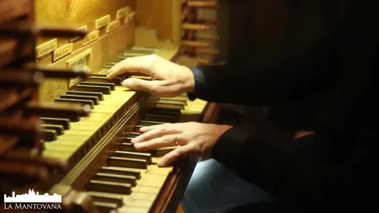 802 J. S. Bach - Duetto I in E minor, BWV 802 - Stefano Molardi, organ