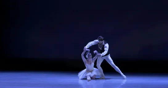 Love (and Ballet) in The Time of Corona - Saint Louis Ballet _