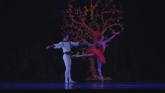 The Firebird [choreography by Marcia Haydée] - Ballet de Santiago