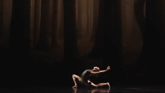 Faun [Choreography: Sidi Larbi Cherkaoui] 28.02.2019 - Juliette Hilaire, Simon Le Borgne - Palais Garnier