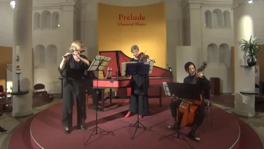 G. P. Telemann - Paris Quartet no. 6 in e minor TWV 43:e4 -The Bach Players