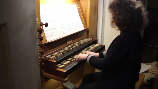 Georg Muffat - Apparatus Musico-Organisticus, Toccata Quinta in C Major - Galina Elshaeva, organ