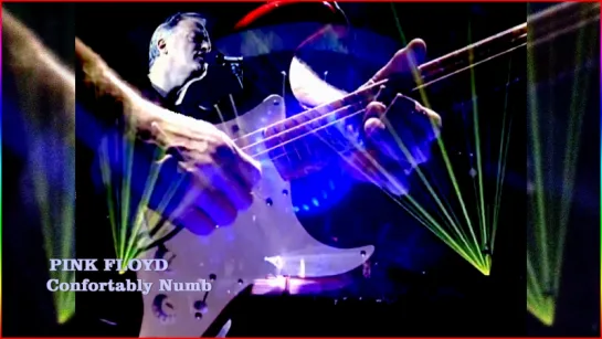 Pink Floyd «Confortably Numb» (Earls Court 1994)