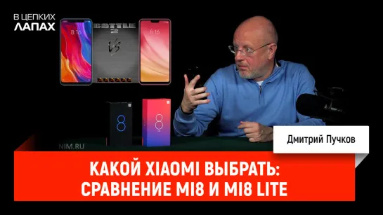 Какой Xiaomi выбрать- сравнение Mi8 и Mi8 Lite