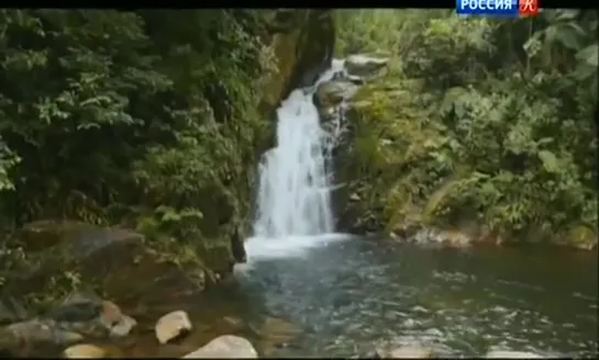 Водопад атлантического леса