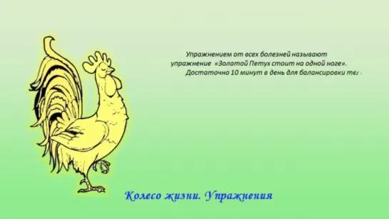 Упражнение от всех болезней – всего 10 минут в день и в жизни баланс.