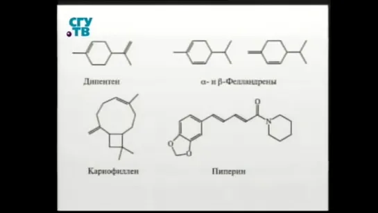 Урок 6. Химия классических пряностей. Часть 1