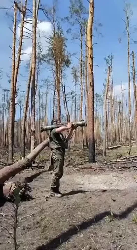 Видео от Владимира Зиненко