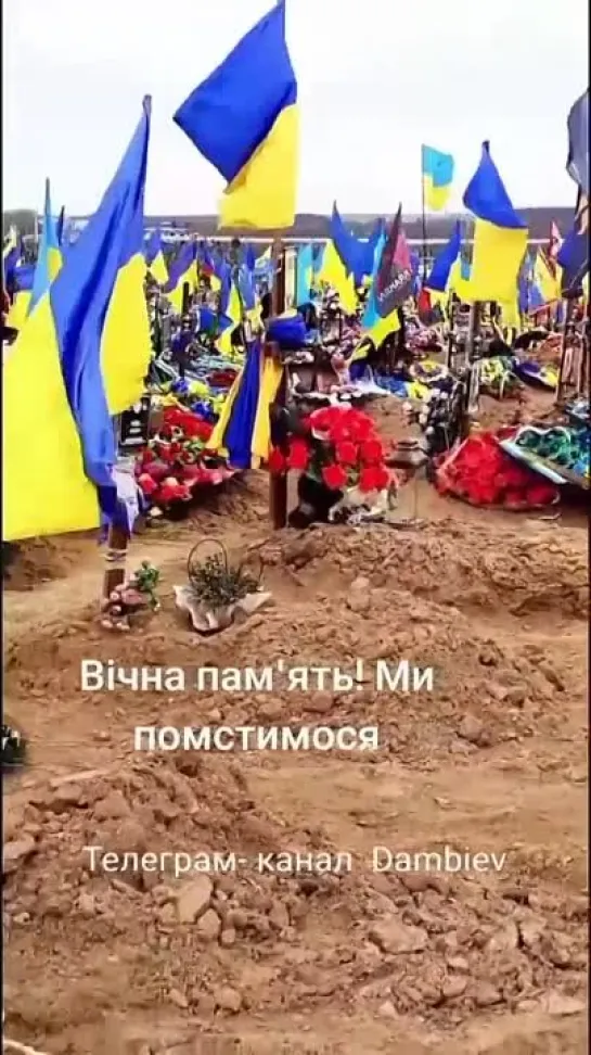 Видео от Владимира Зиненко