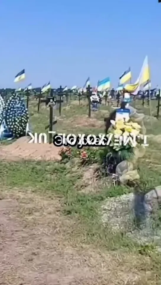 Видео от Владимира Зиненко