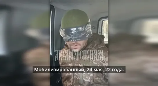 Видео от Владимира Зиненко