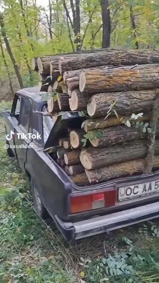 Видео от Владимира Зиненко