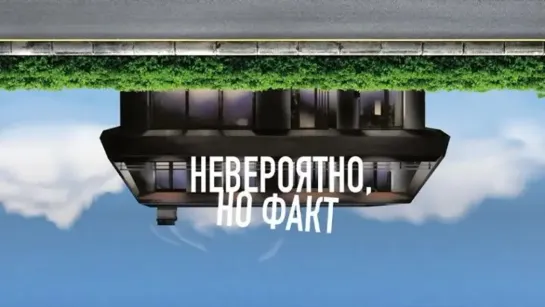 HEBEPOЯTHO, HO ФAKT (2022)