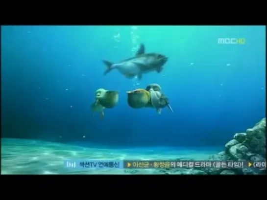 [NEWS] 7.07.2012 MBC Start! Video Trip - Intoduce Sammy's Adventures 2