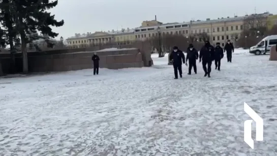 Букеты с тюльпанами правоохранители подарили женщинам, собравшимся на Марсовом поле