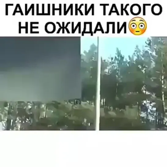 •⊰◄═╬₪😂🤣 НЕОЖИДАЛИ 😂🤣₪╬═►•⊰