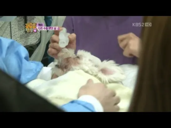 [SHOW] KBS2 "BIRTH OF A FAMILY".9 - A PINK CUT [120107]