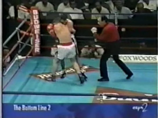 1996-07-28 Lewis Veader vs Micky Ward II (WBU Intercontinenal Light Welterweight Title)