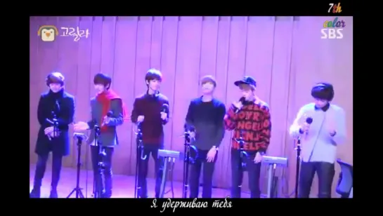 [RUS.SUB][05.01.2014] Boyfriend - Go Back (SBS LIVE)