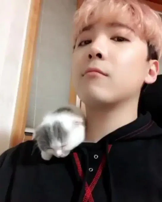 Hongki & 고양이