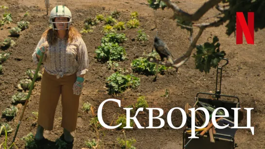 Скворец (2021)