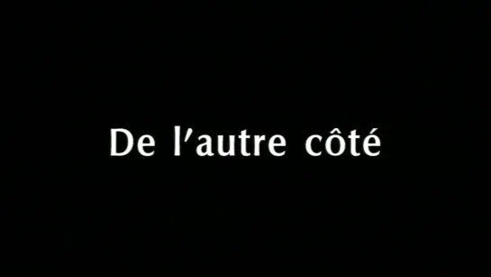 С другой стороны / From the other side / De l'autre côté (2002) dir. Chantal Akerman (ENG SUB)