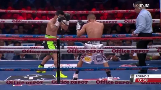 2015-09-26 Juan Francisco Estrada vs Hernan Marquez (WBA Super World & WBO Flyweight Titles)