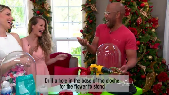 ☆Alexa Vega|Daily ℒℴѵℯ News☆ Alexa PenaVega DIY Enchanted Rose - Hallmark Channel