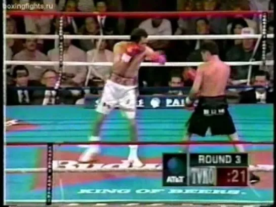 1995-09-09 Oscar De La Hoya vs Genaro Hernandez (WBO Lightweight Title)