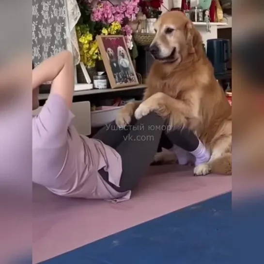 Время йоги 🧘🏼🐾😍 с лучшим другом