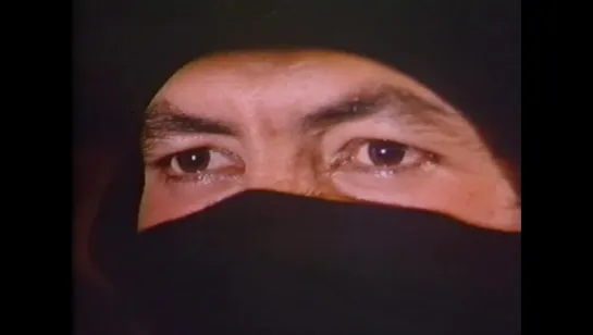 Мексиканский ниндзя (El ninja mexicano, 1991)