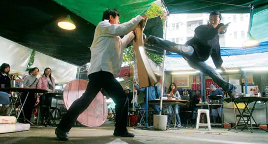 TOP 148 kick fight scene Donnie Yen