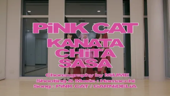 【ささちた彼方】PiNK CAT【踊ってみた】 sm31035156