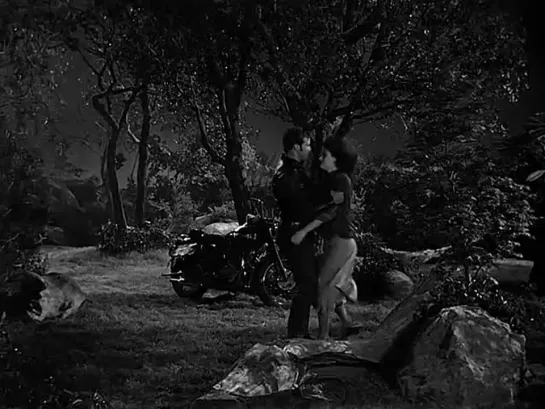 Дикарь/The Wild One (1953)