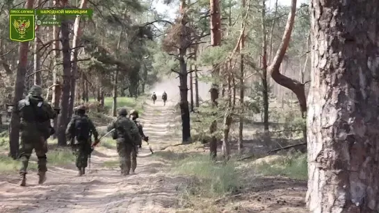 Подразделения НМ ЛНР и союзных войск приступили к зачистке Северодонецка