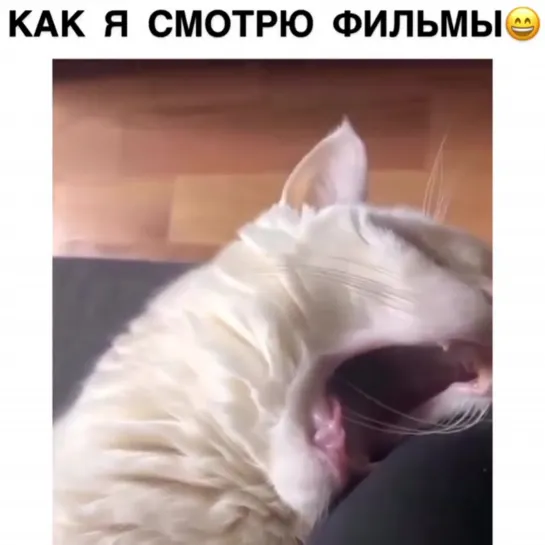 Ночной сеанс🙈