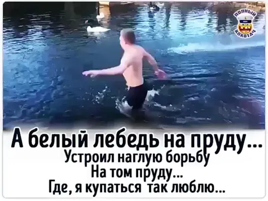 А белый лебедь на пруду...